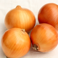 China 4-7cm Fresh Yellow/ Red Onion for sale